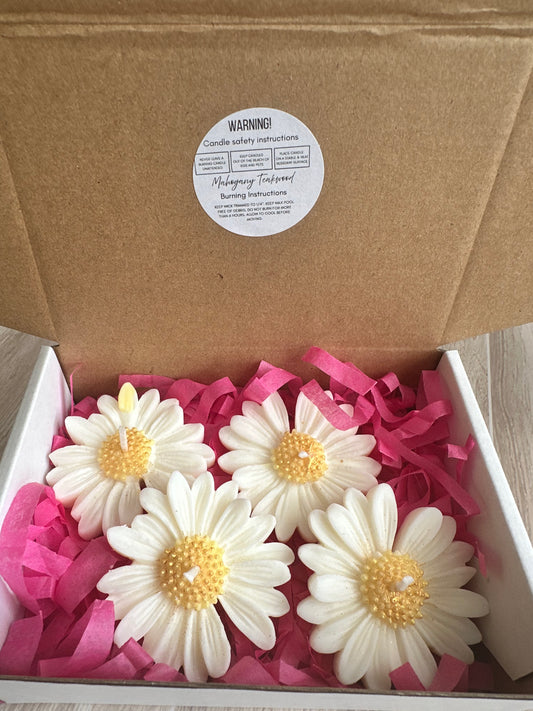 Handmade Soy Floating Daisy Flower Candle – Set of 4
