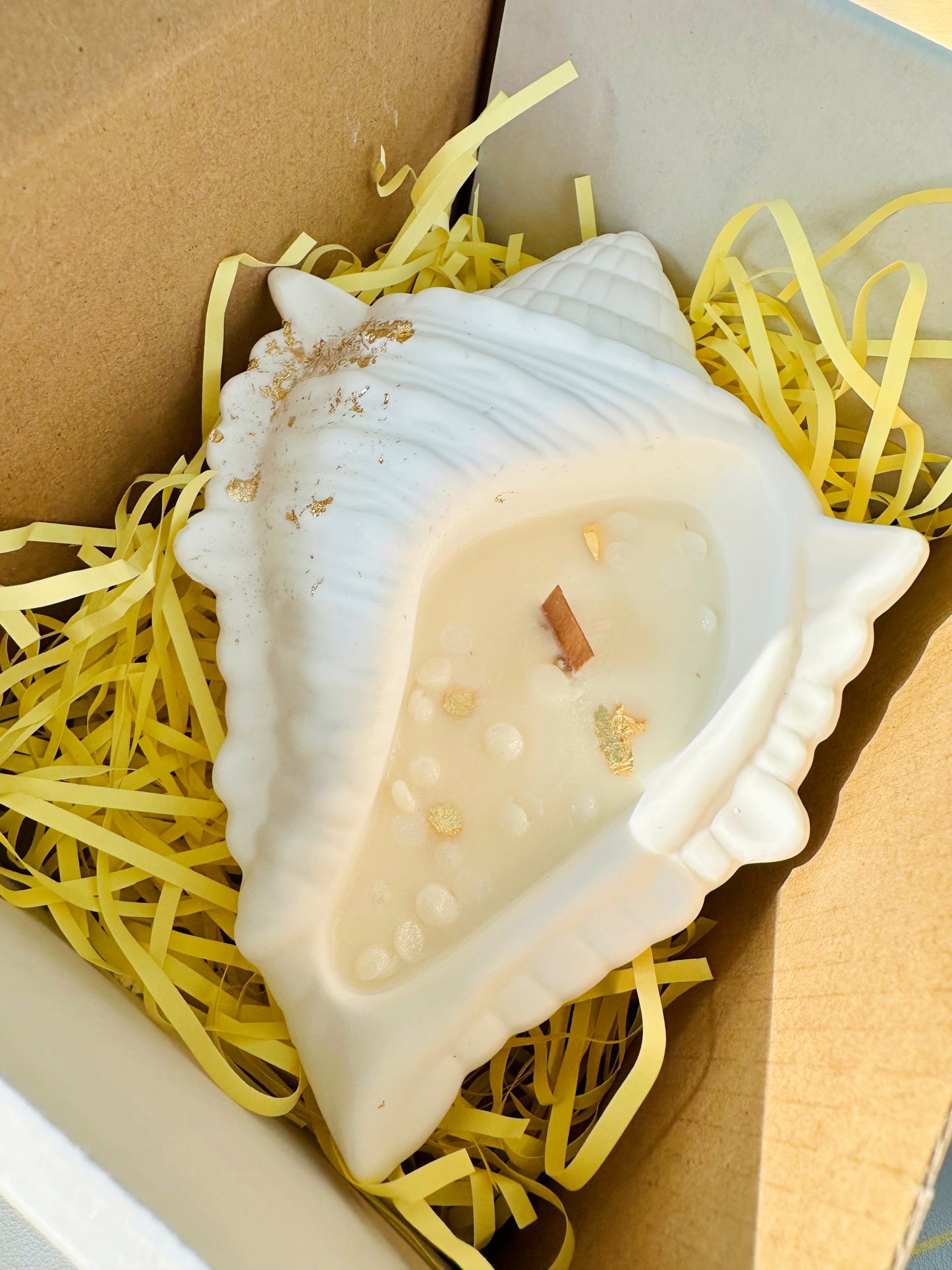 Conch Shell Container Soy Wax Candle – Handmade Scented Candle in Jesmonite Vessel | Unique Housewarming Gift