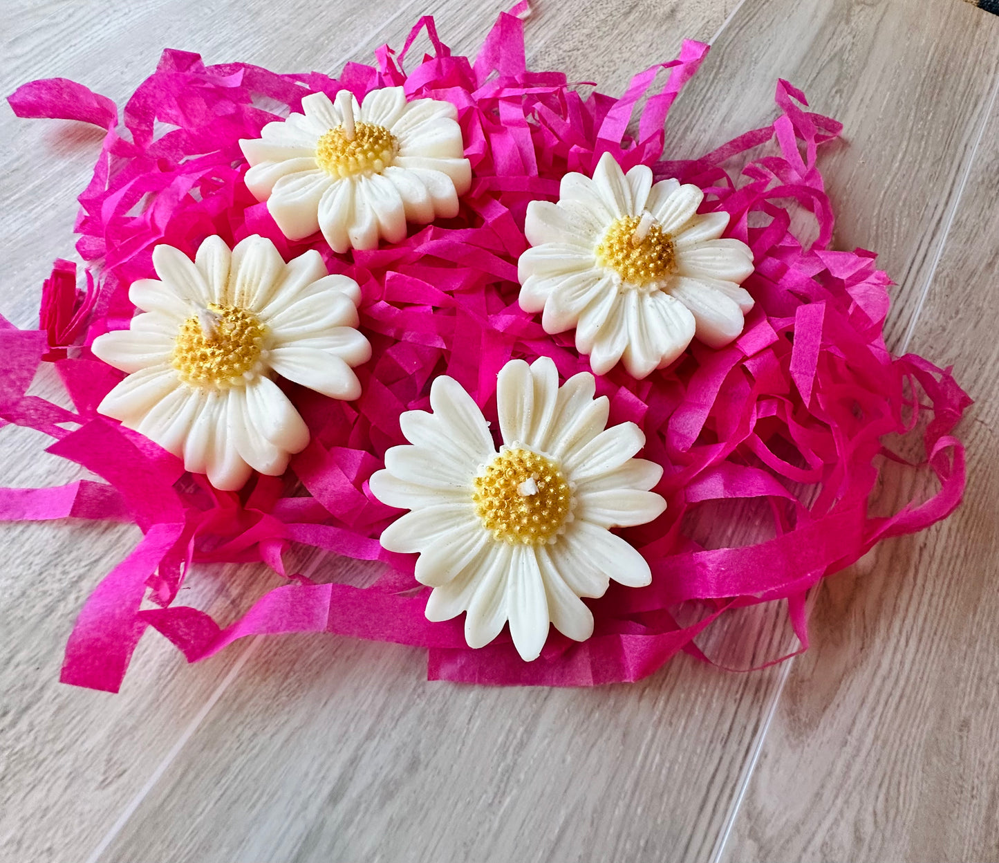 Handmade Soy Floating Daisy Flower Candle – Set of 4