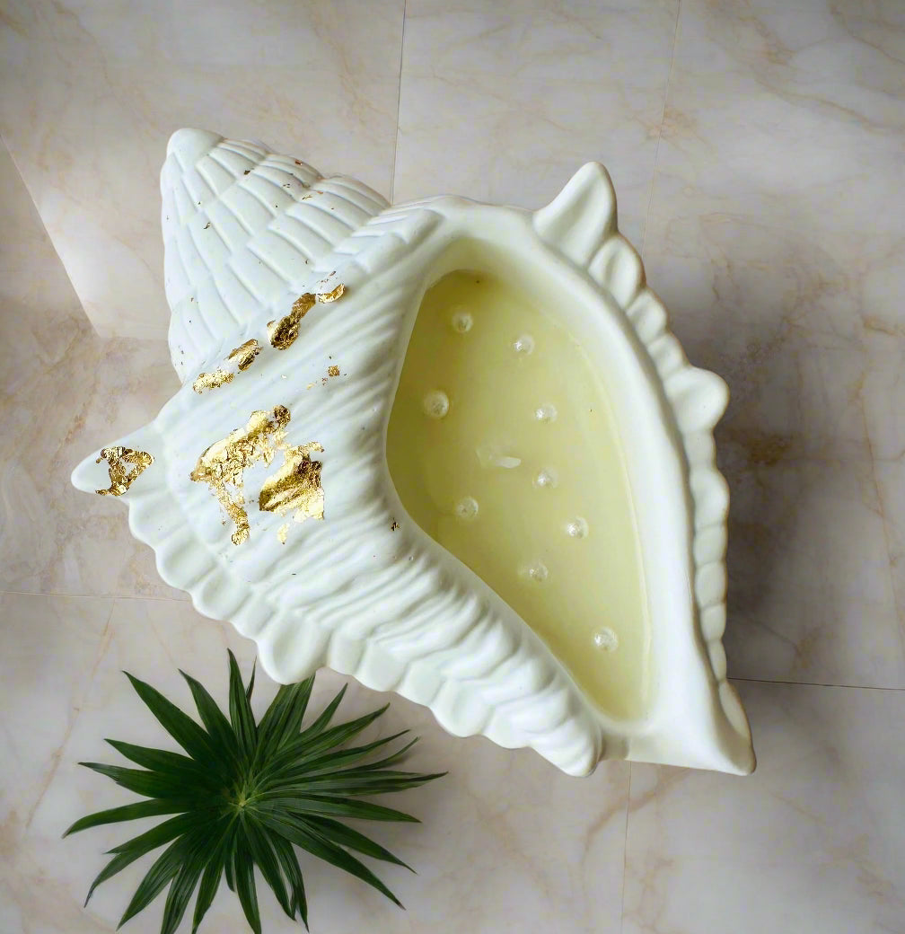 Conch Shell Container Soy Wax Candle – Handmade Scented Candle in Jesmonite Vessel | Unique Housewarming Gift