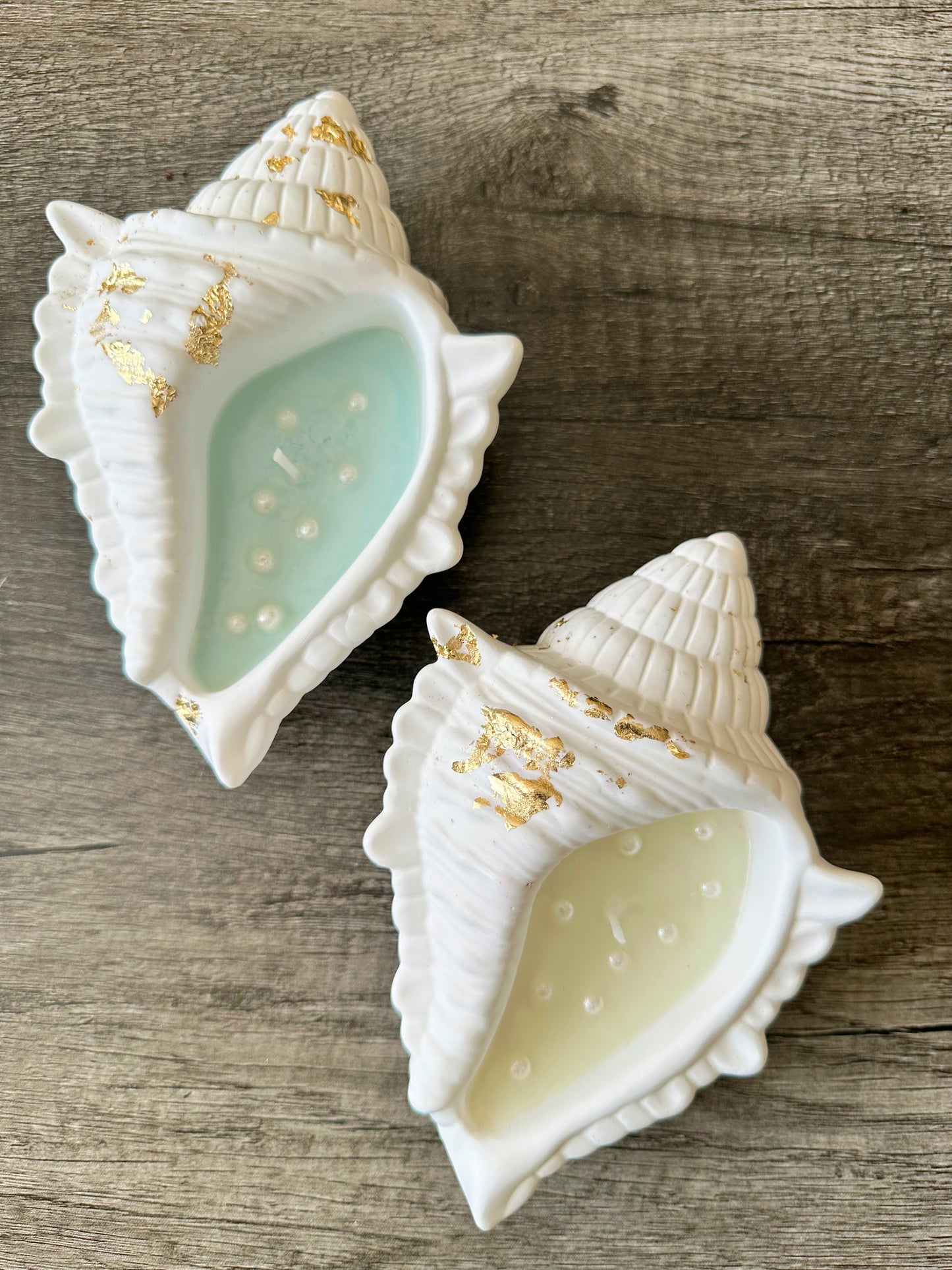Conch Shell Container Soy Wax Candle – Handmade Scented Candle in Jesmonite Vessel | Unique Housewarming Gift